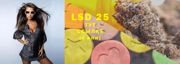 стаф Белокуриха