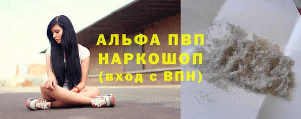 стаф Белокуриха