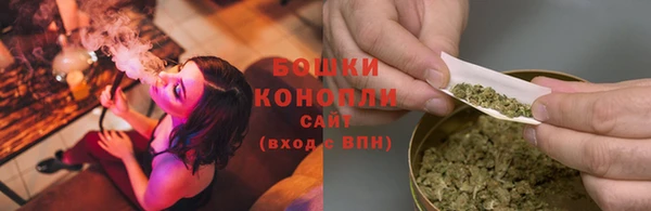 стаф Белокуриха