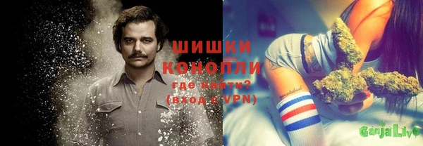 стаф Белокуриха
